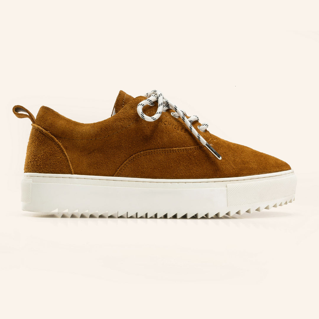 Achilles Zig 2.0 | Lace up Suede Sneakers - Havana