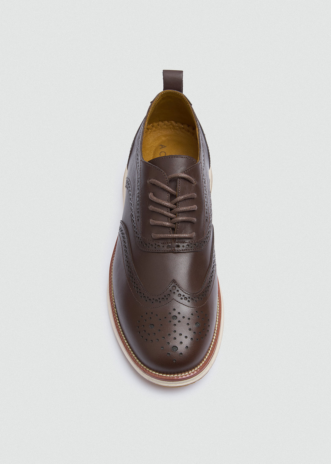 Wingtip Brogue Lace-Up - Brown