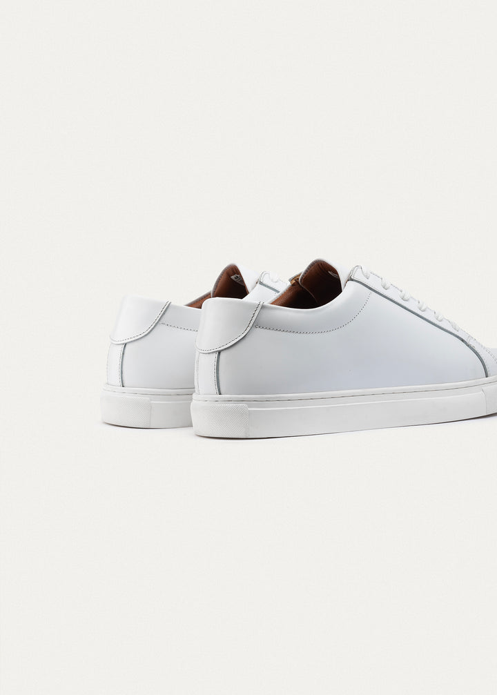 Viale Comfort Lace-Up Men Sneakers |  White
