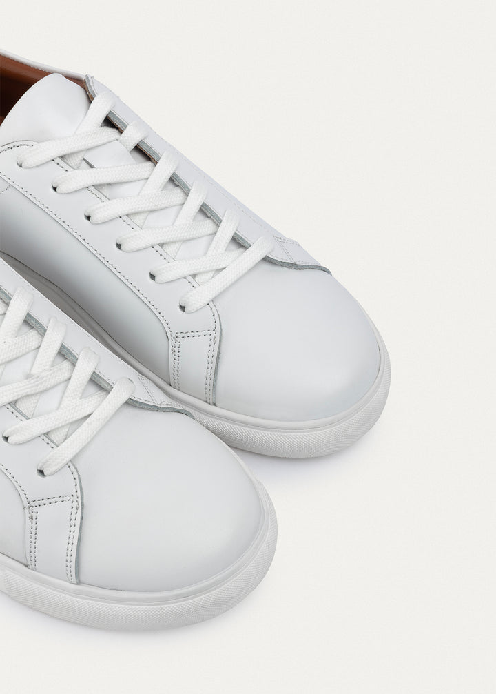 Viale Comfort Lace-Up Men Sneakers |  White