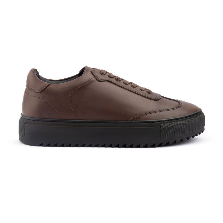 Achilles Zig | Plain Laces Genuine leather Sneakers - Brown