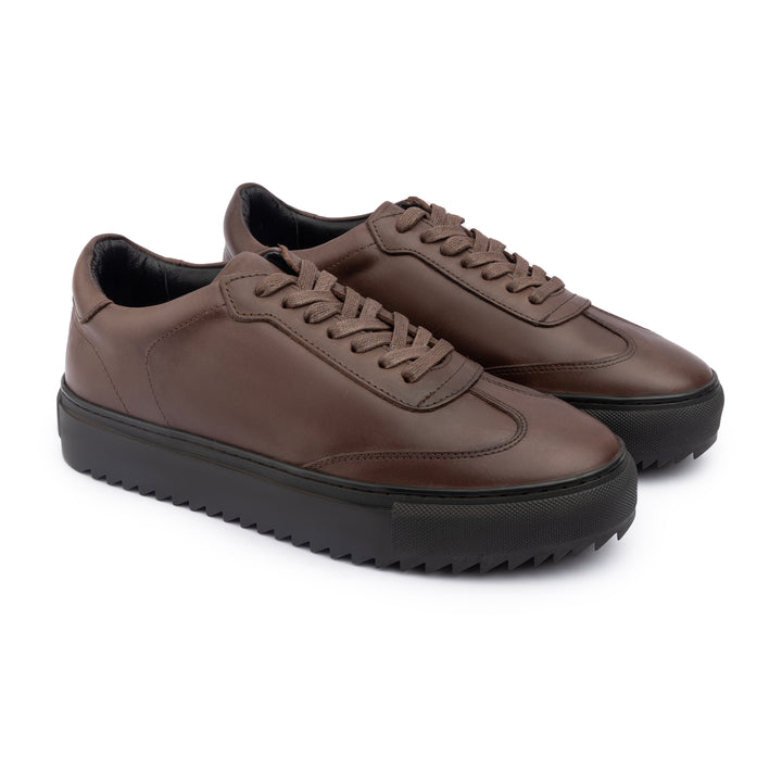 Achilles Zig | Plain Laces Genuine leather Sneakers - Brown