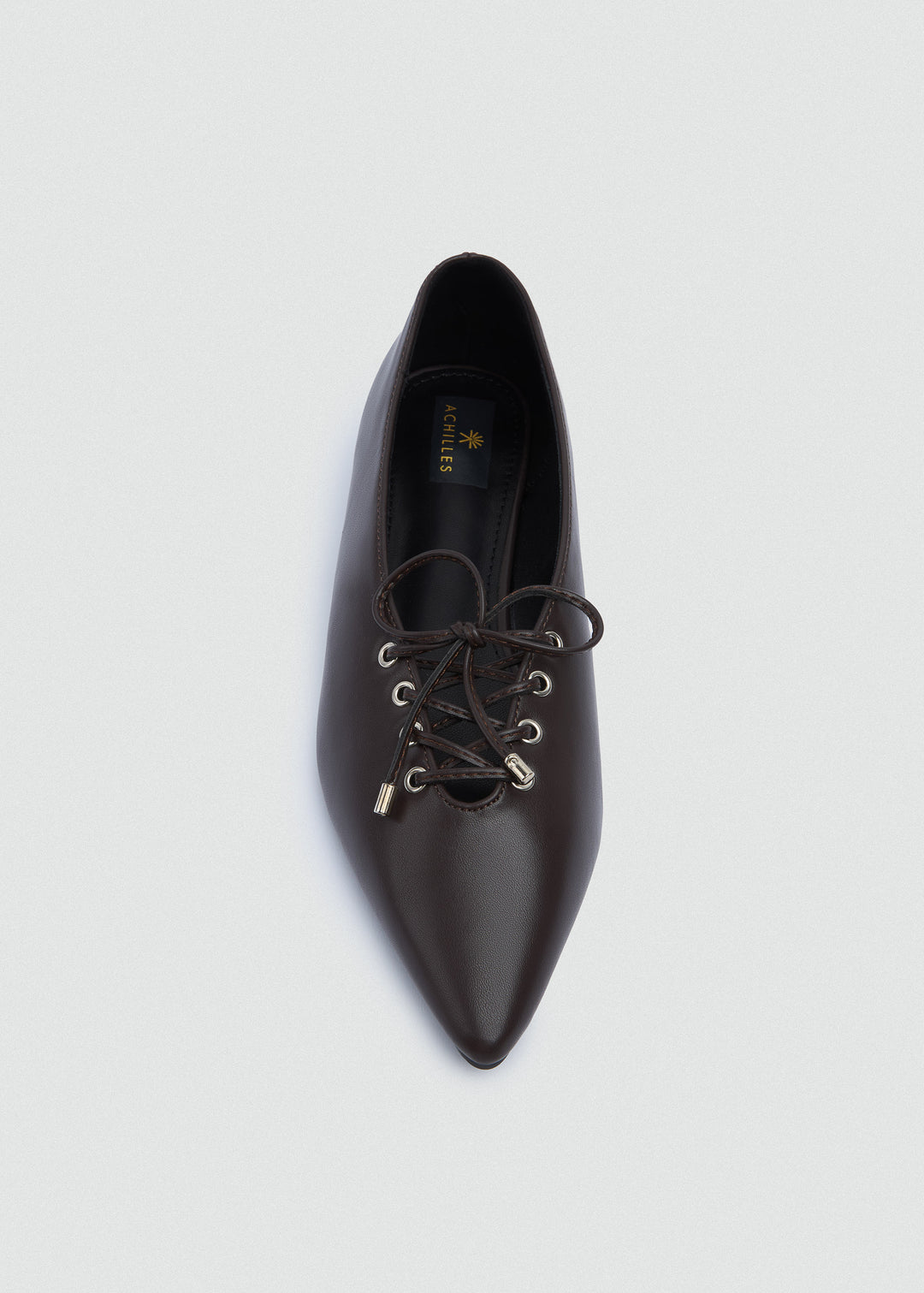 Lace-Up Bow Pointed Ballet Flats - Brown